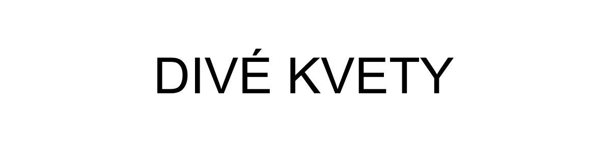 Div kvety